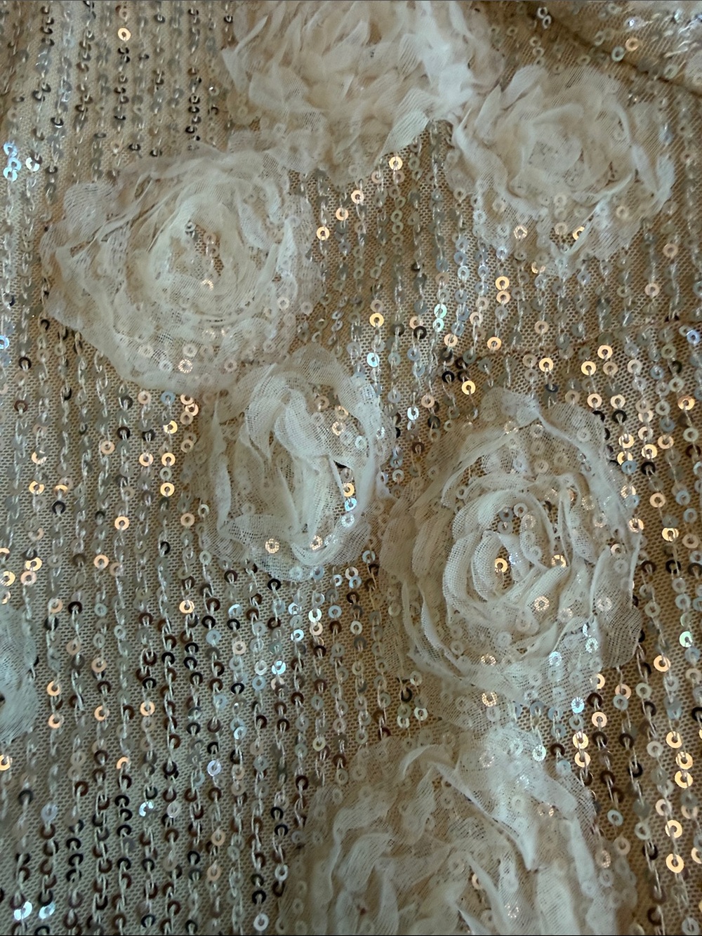 Baltic Born Sequin Dress with Floral Appliqués in Cream and Champagne - Picture 9 of 9